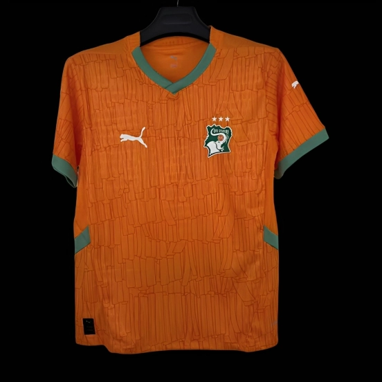 Player Version 2026 Ivory Coast Home Jersey